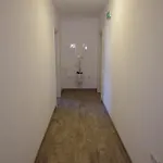 Apartment Andre Selce
